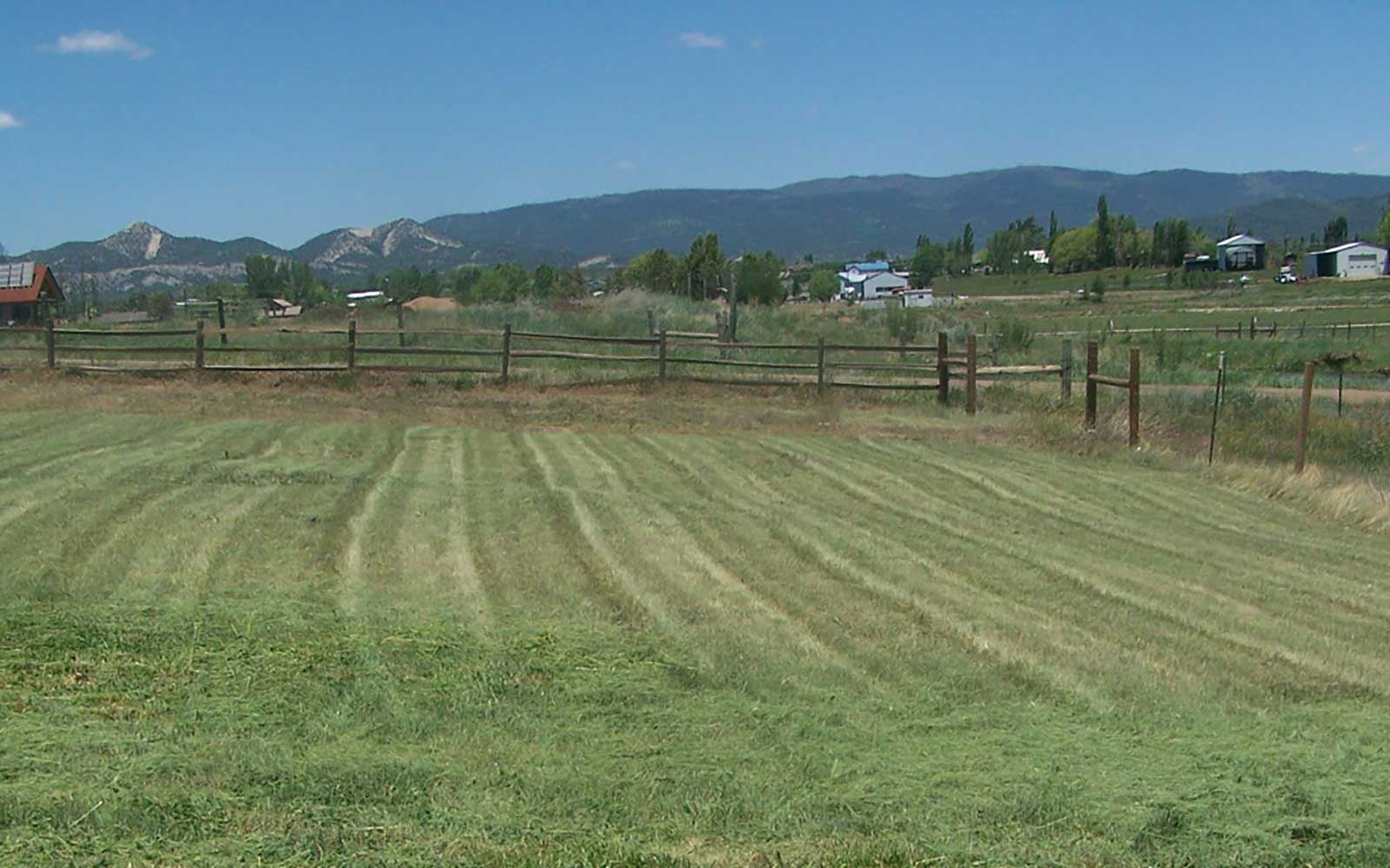 Durango Landscaping Services, Lawn Care and Maintenance, Fleming Landscaping, Durango, CO